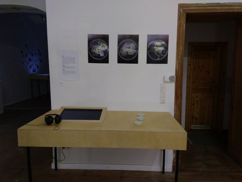 File:U-IMG 20170401 212803623.jpg