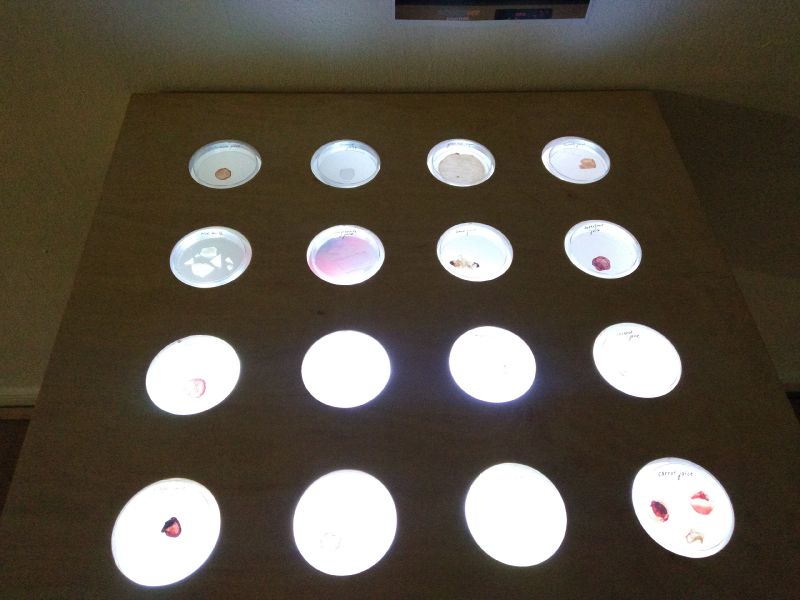 File:U-IMG 20170401 213145182.jpg
