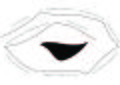 Thumbnail for version as of 07:57, 16 July 2024