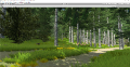 Unity Project Forest 2.png