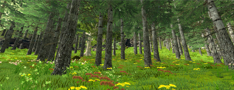 File:Unity Project Forest 3.png