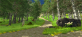 Unity Project forest 10.png