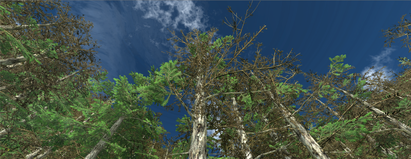File:Unity Project forest 5.png