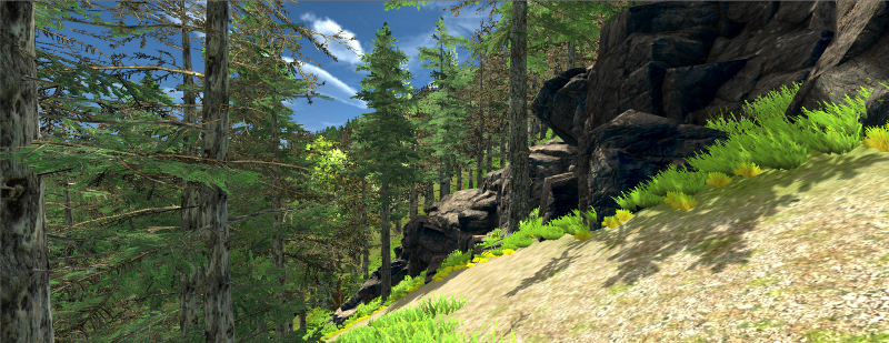 File:Unity Project forest 8.png