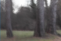 Thumbnail for version as of 17:08, 27 January 2016