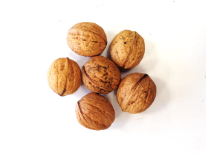 Walnuts edited.png