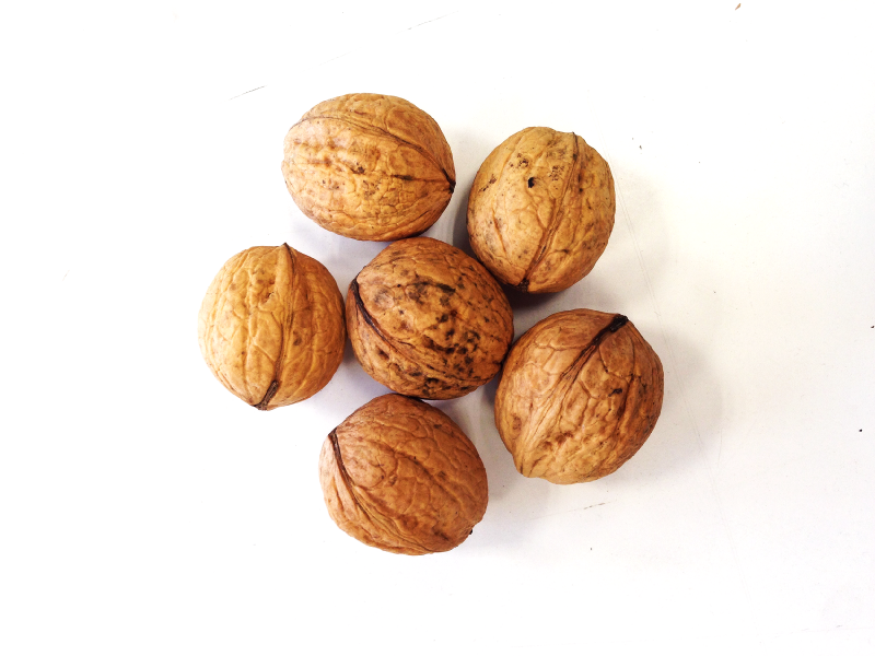 File:Walnuts edited.png