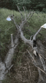 Thumbnail for version as of 23:33, 30 October 2022