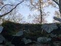 Thumbnail for version as of 09:32, 10 November 2022