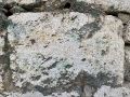 Thumbnail for version as of 09:32, 10 November 2022