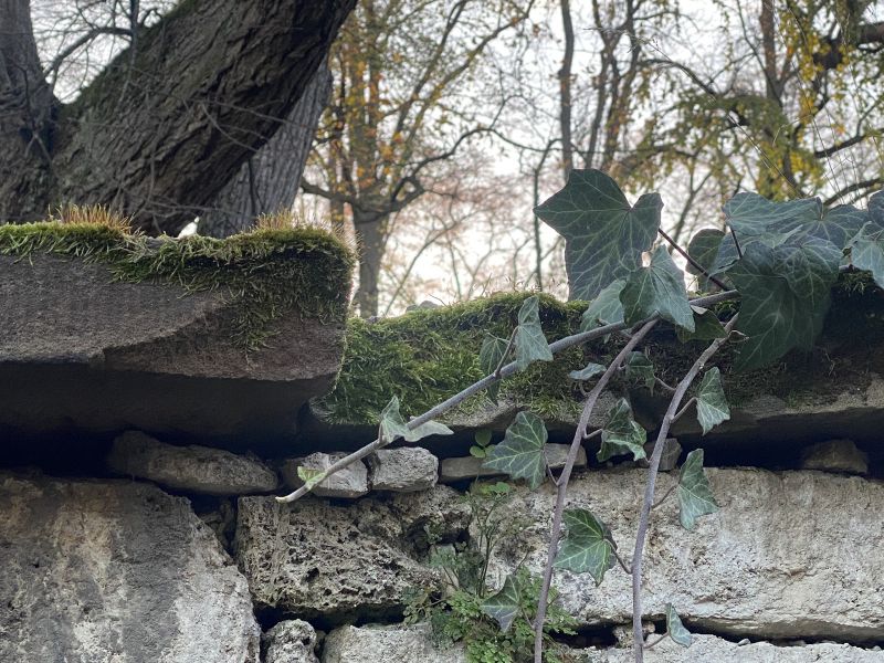 File:Weimar Friedhof 10112022 7.jpeg