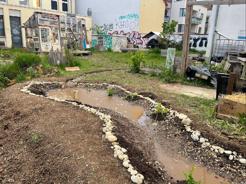 File:Wetland2.png