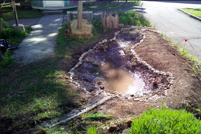 File:Wetland3.png