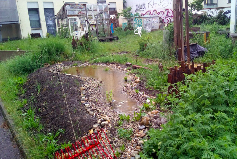 File:Wetland8.png