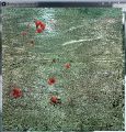 Thumbnail for version as of 16:36, 18 January 2016