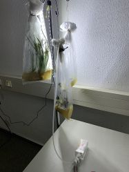 Winterwerkschau07.jpg