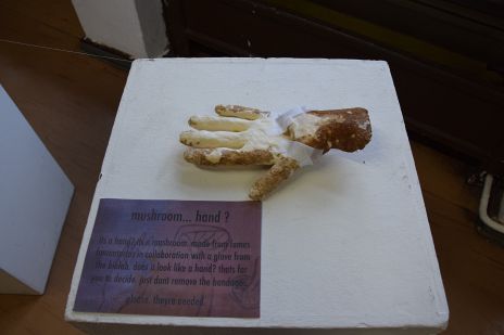 Winterwerkschau mushroom hand1.jpg