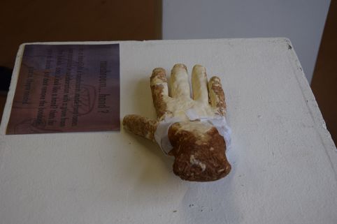 Winterwerkschau mushroom hand2.jpg