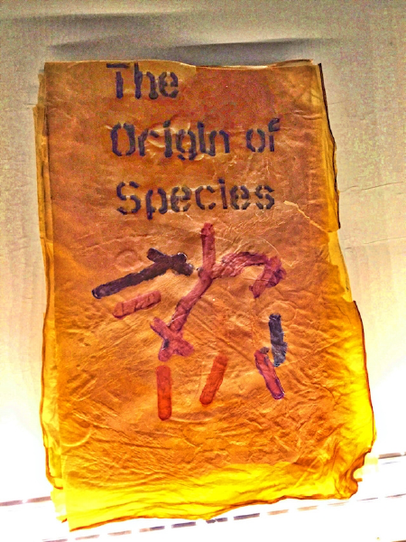 File:Worlds-first-bacteria-grown-book.png