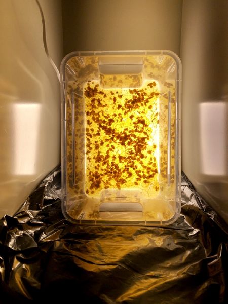 File:YtGGI0%VRgmkZt4tKKpUWw thumb 825.jpg