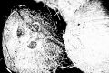 Thumbnail for version as of 17:09, 17 December 2012