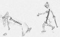 Thumbnail for version as of 14:43, 27 December 2012