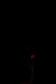 Thumbnail for version as of 13:03, 19 April 2013