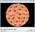 Thumbnail for version as of 04:54, 15 December 2010