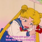 Sailor Moon: I’ll just warn you now. I don’t know how to use a computer.