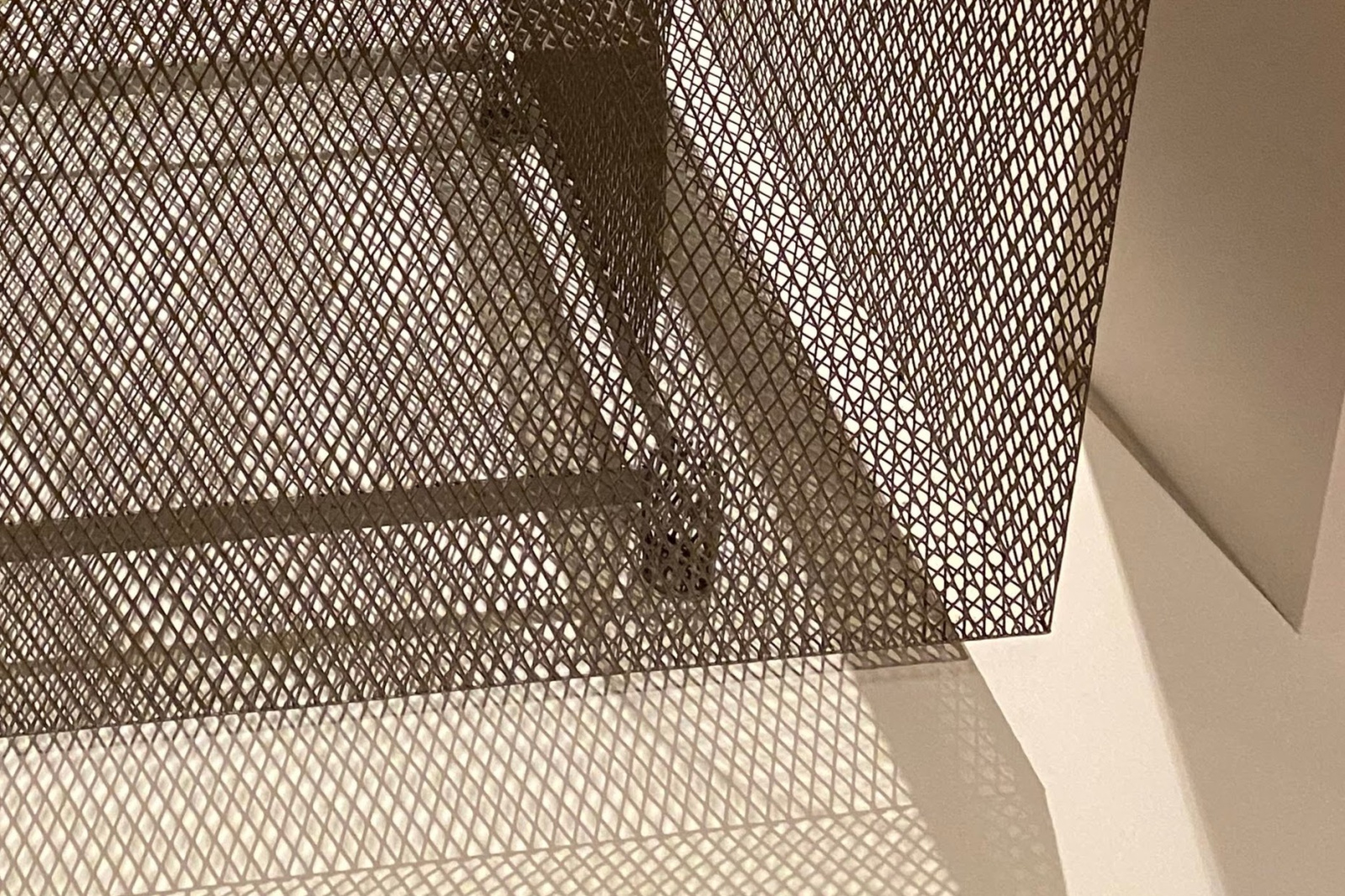 IMG 1894