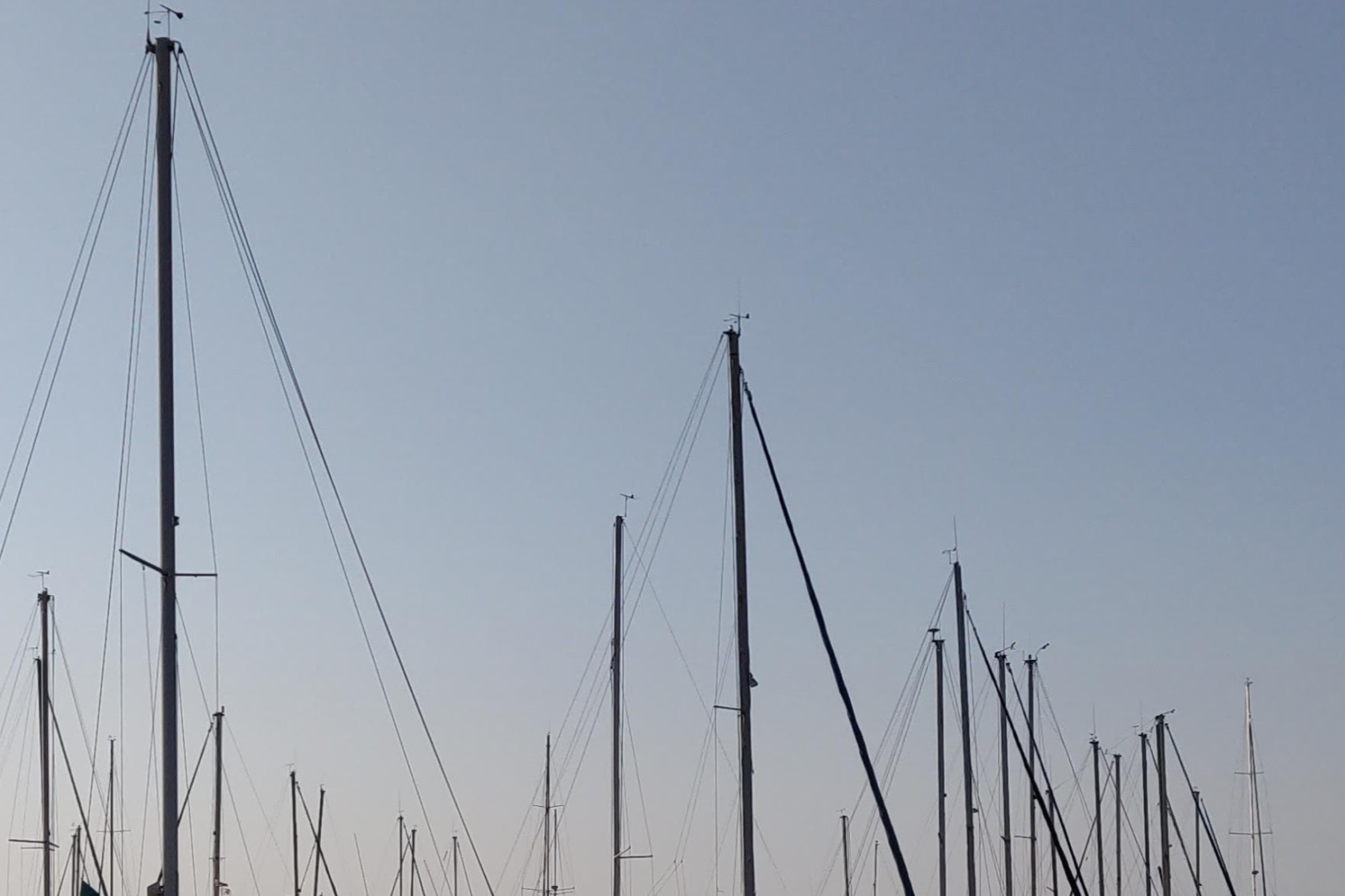 IMG 20190826 082308