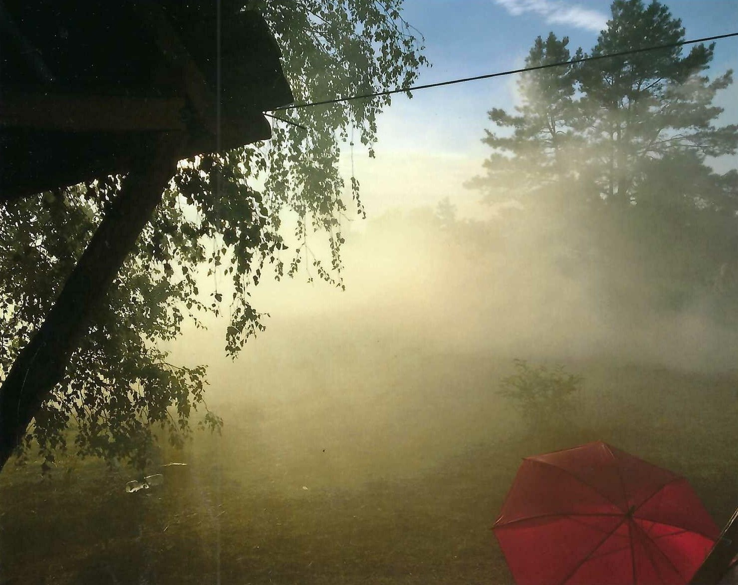morgennebel
