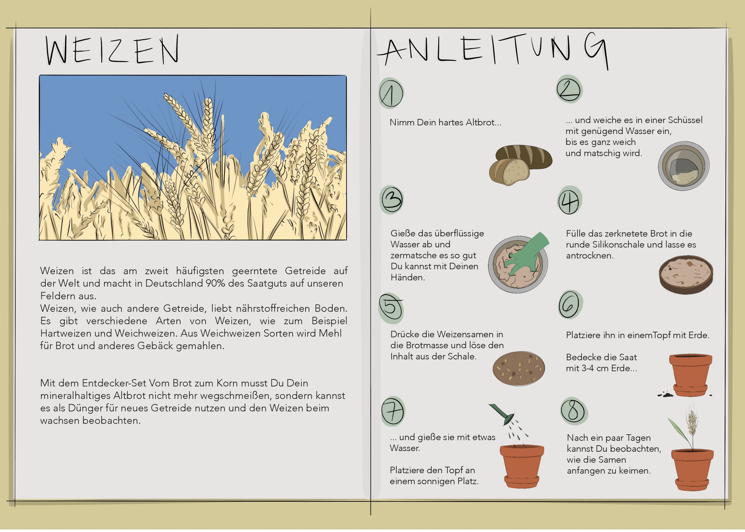 Plakat mit Illustrationen/Grafiken/Fotos zu Kurzschluss Projekt Brot