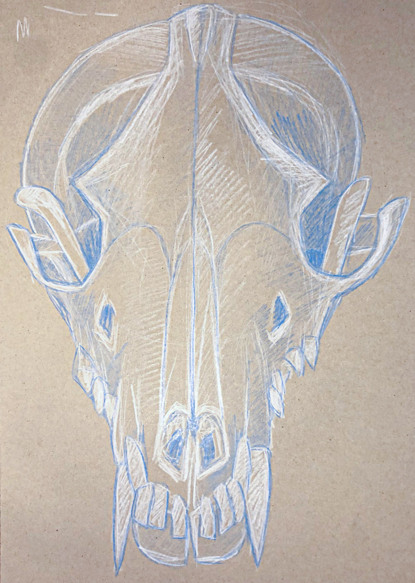 Zeichnung Tierschädel Buntstift Blau mit weißen Highlights