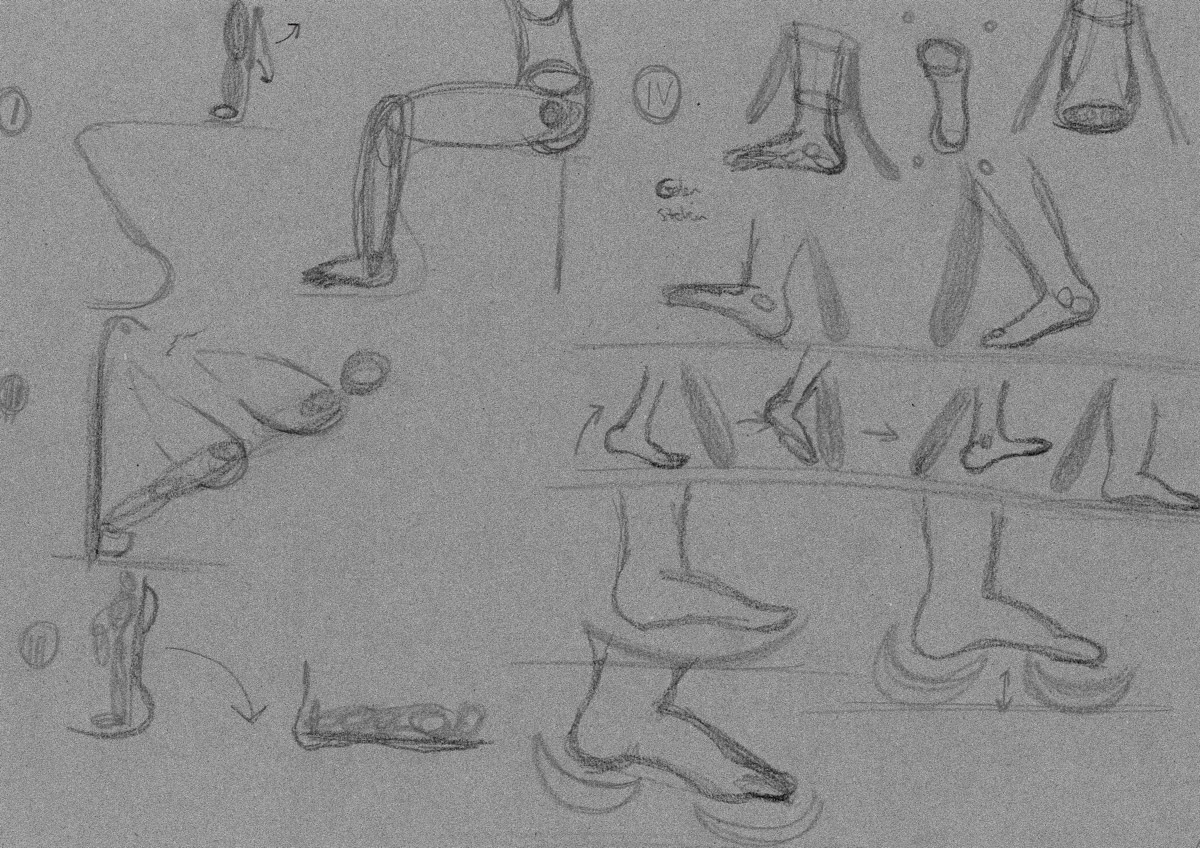 anatomische Studien und Bewegungen des Fußes