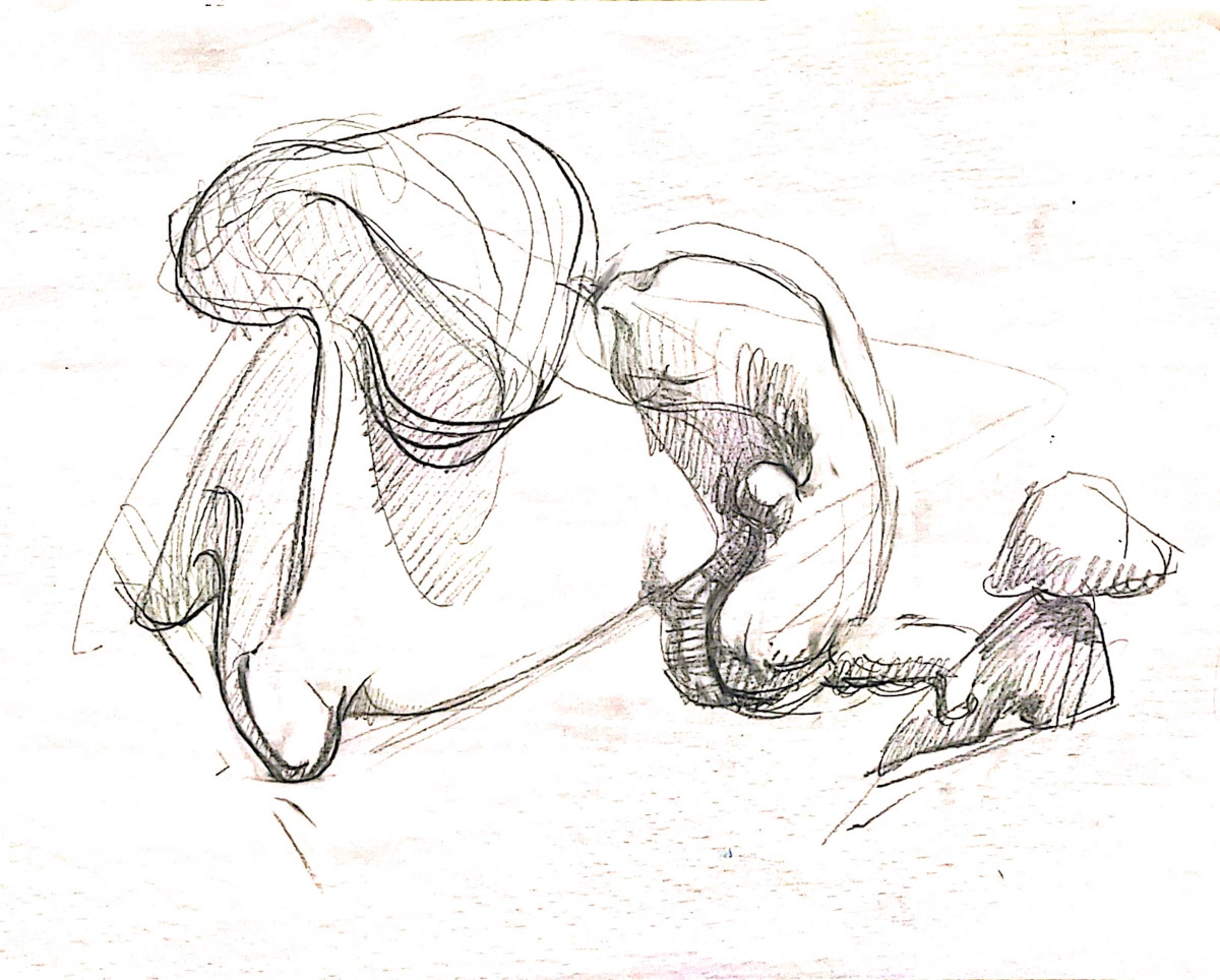 Zeichnung einer Gipsskulptur, organisch, Bleistift