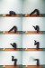 [Anja Ribbe] Anja Ribbe - Die Kunst des Yoga