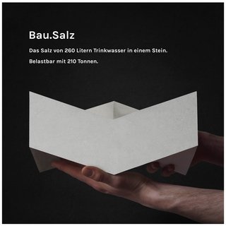 Bau.Salz - The Brick / Dörfer/Peters/Zimmer