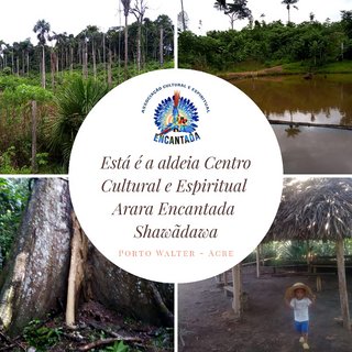 Arara Encantada is ultimately a sustainability project in every way. It unites the well being of an indigenous community with water and food security, permaculture, local engagement selling surplus produce (vegetables, fruits, nuts, essencial medicinal oils) to ill-served Porto Valter and Cruzeiro do Sul communities, and the well-being of the existing 100 Hectars and the future reforestation of adjacent landplots. The sky is the limit. We ask for your kind participation. Thank you. / Daosha Vaxã, Txãdá Shawã