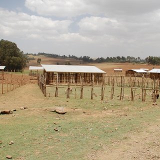 Land allocation and land use of an emerging town in Ethiopia / Philippe Schmidt