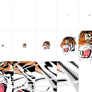 Zoom into a tiger / Mattis Kuhn