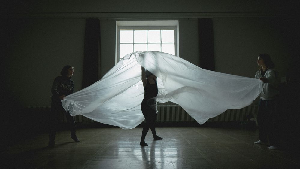 © Christian Andrés Parra Sánchez