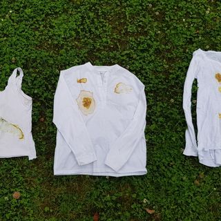 / Anna Wißmüller / Anna Wißmüller