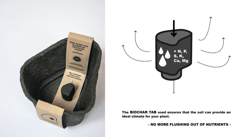 © Nora Giuliana Iannone, Massimo Scheidegger