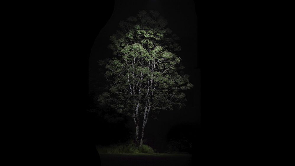 © Foto: Stephan Deininger