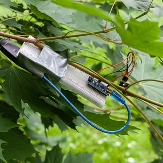 Speculative Atmospheres, Emil Torp / Christian Doeller Speculative Atmospheres, Emil Torp / Christian Doeller