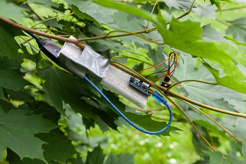 © Christian Doeller