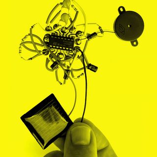 WILD WEAK ELECTRONICS / Ralf Schreiber