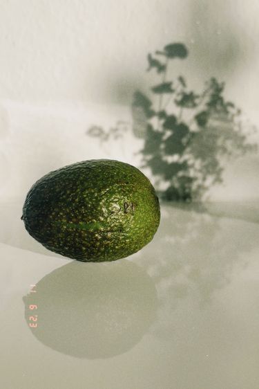 © Toni Louise Radtke