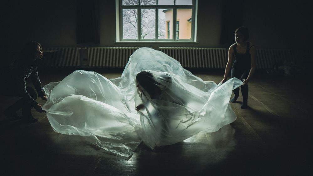 © Christian Andrés Parra Sánchez